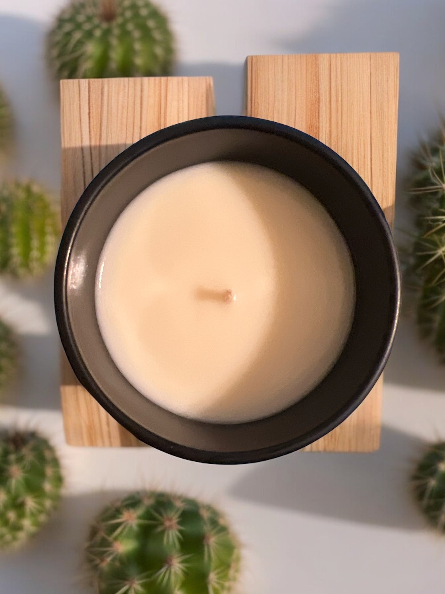 Cactus Blossom