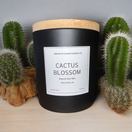 Cactus Blossom
